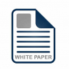White Paper - Using Video Surveillance As Evidence